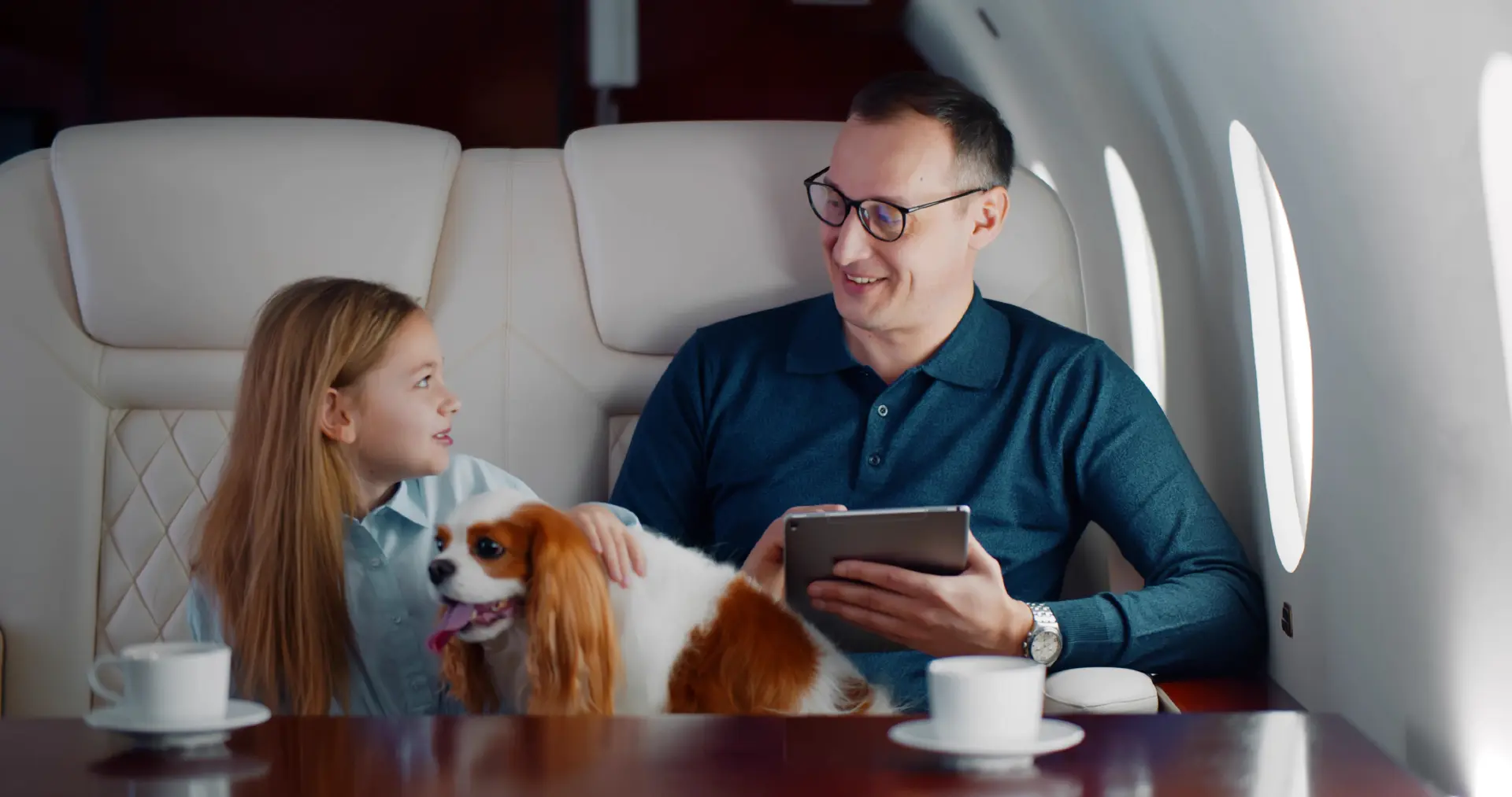 A dog resting in the cabin of a private jet